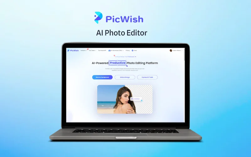 What Is PicWish?