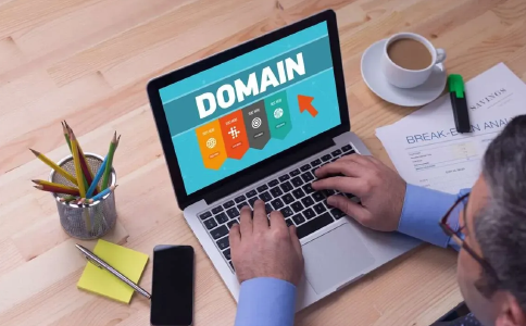 What Is Domain Name Lookup Availability?